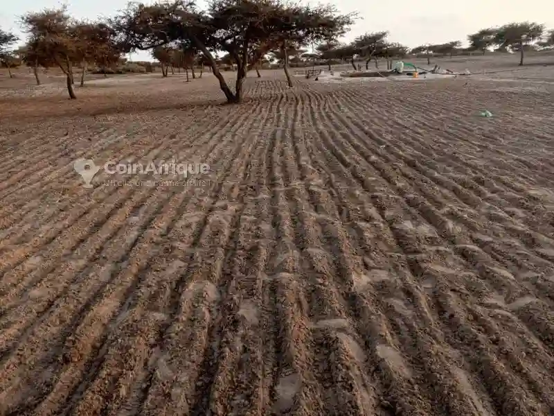 Terrain Agricole -diogomboro - Vue 4