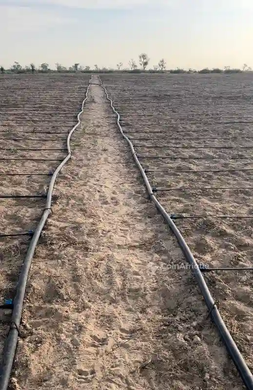 Terrain Agricole -diogomboro - Vue 5