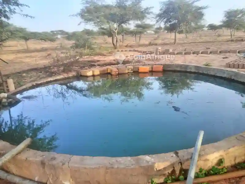 Forage+pomme Solaire+carema de Surveillance - Vue 5