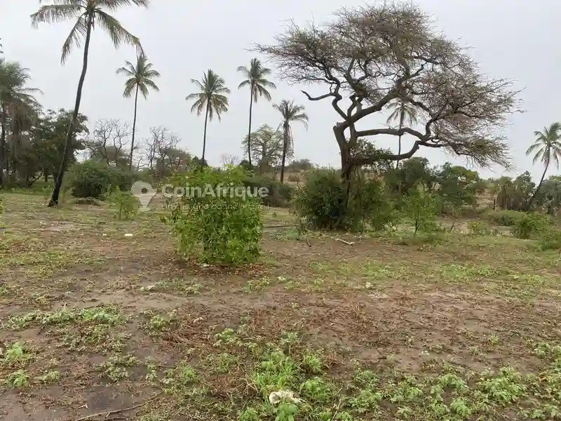 Terrains 2 ha - Mboro - Vue 3