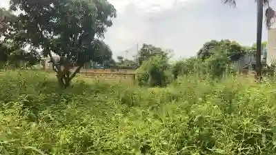 Terrains 300 Mètres Carrés à Vendre à Saly Sé à Mbour