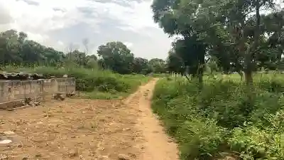 Terrains 300 Mètres Carrés à Vendre à Saly Sé à Mbour - Vue 1