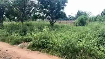 Terrains 300 Mètres Carrés à Vendre à Saly Sé à Mbour - Vue 3