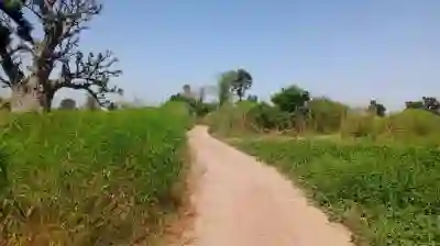 Terrain 1 Hectare à Vendre à Louly Sénégal à Mbour