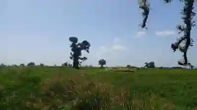 2 Hectares et Demi à Vende à Louly Sénégal à Mbour