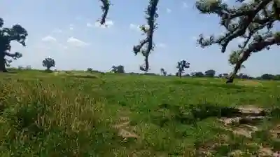 2 Hectares et Demi à Vende à Louly Sénégal à Mbour - Vue 1
