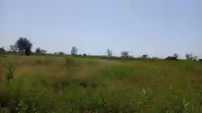 Terrain 1 Hectare à Vendre à Mbourokh Sénégal à Mbour - Vue 2