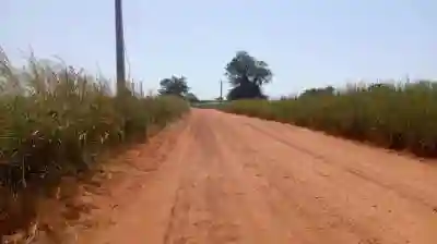 Terrain de 1 Hectare à Vendre à Mbourokh Sénég à Mbour - Vue 2