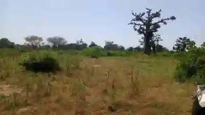 Terrain 3 Hectares et Demi à Mbourokh Sn à Mbour