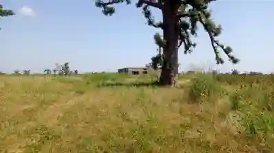 Terrain 3 Hectares et Demi à Mbourokh Sn à Mbour - Vue 3