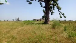 Terrain 3 Hectare et Demi à Vendre à Mbouro