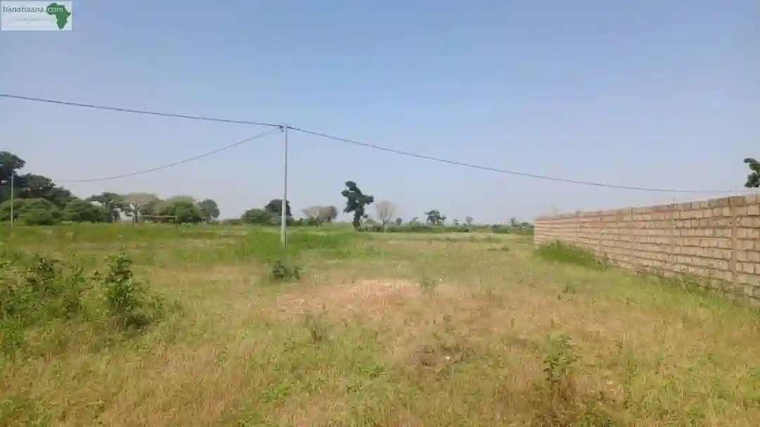 Terrain 3 Hectare et Demi à Vendre à Mbouro - Vue 2