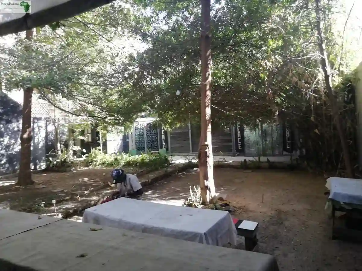 Espace Commercial à Louer