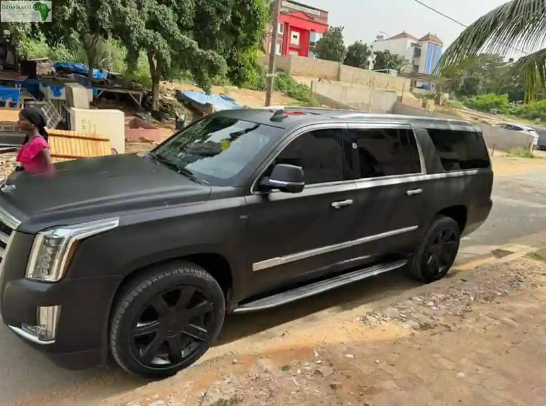 Cadillac Escalade Année 2019 - Vue 1