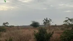 Terrain de 300 Mètres Carrés à Vendre Gué