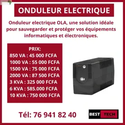 DES Onduleurs Electriques DE Marque OLA A VE