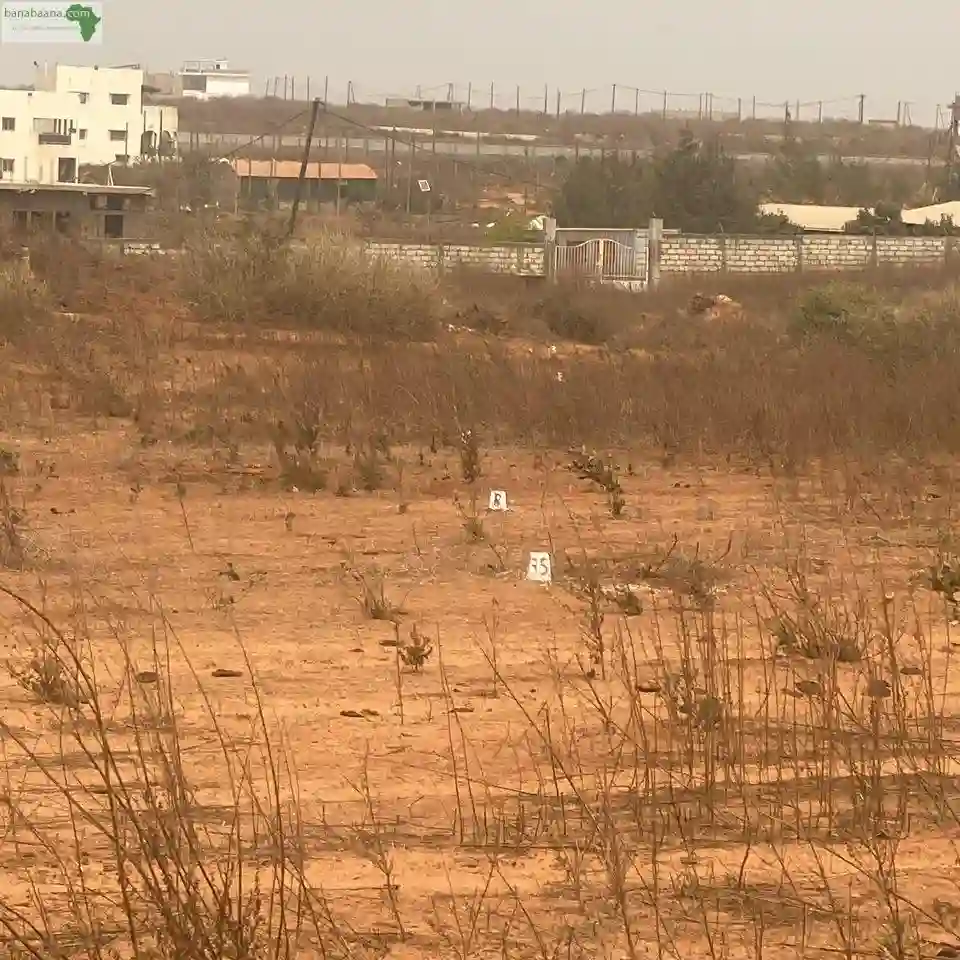 Terrain A Vendre Ndoukhoura