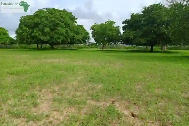 Verger de 7310 m² Vers Tassette