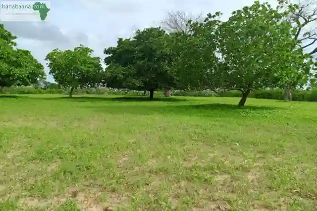 Verger de 7310 m² Vers Tassette - Vue 1