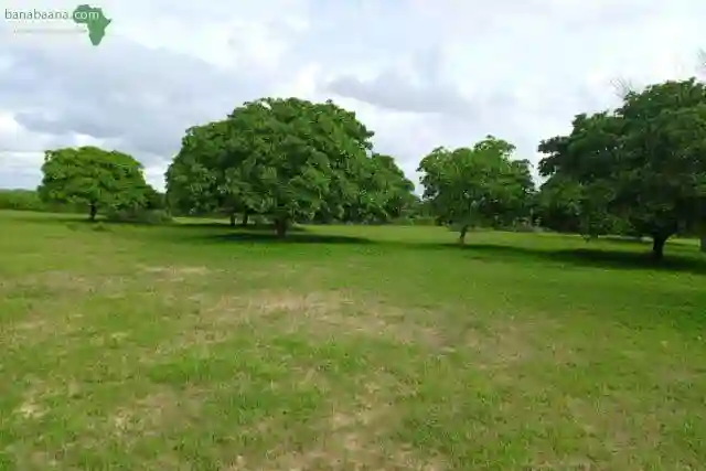 Verger de 7310 m² Vers Tassette - Vue 2