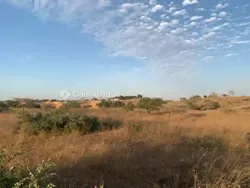 Terrain Agricole 2950000fh - Mboro