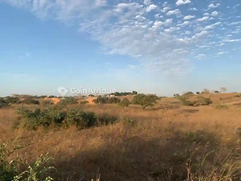 Terrain Agricole 2950000fh - Mboro