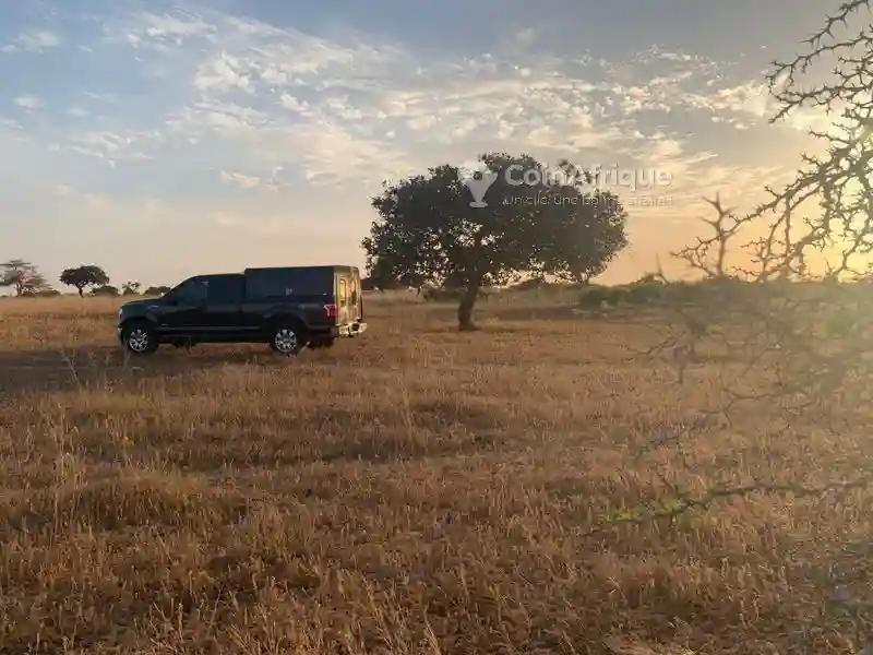 Terrain Agricole 2950000fh - Mboro - Vue 1