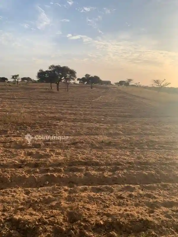 Terrain Agricole 2950000fh - Mboro - Vue 2