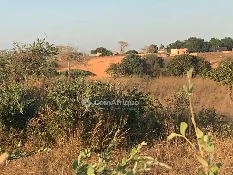 Terrain Agricole 2950000fh - Mboro - Vue 4