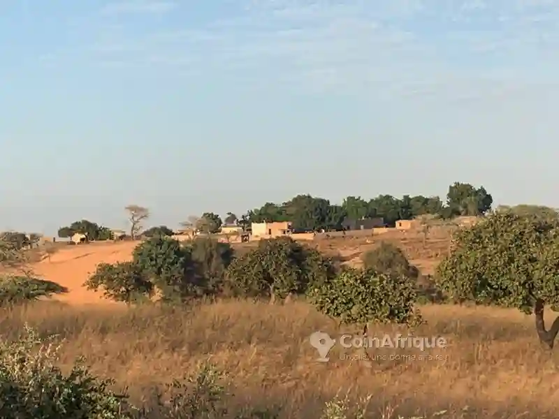 Terrain Agricole 2950000fh - Mboro - Vue 8