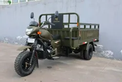 Tricycles DE 200cc & 150cc DE Marque Agan