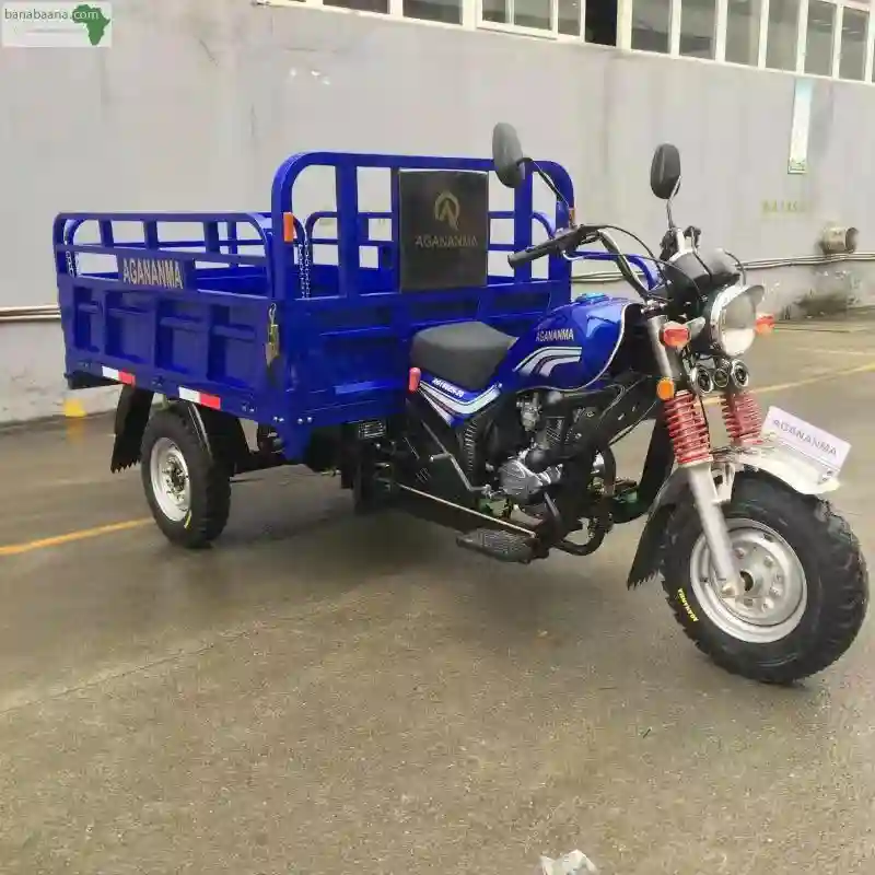 Tricycles DE 200cc & 150cc DE Marque Agan - Vue 1