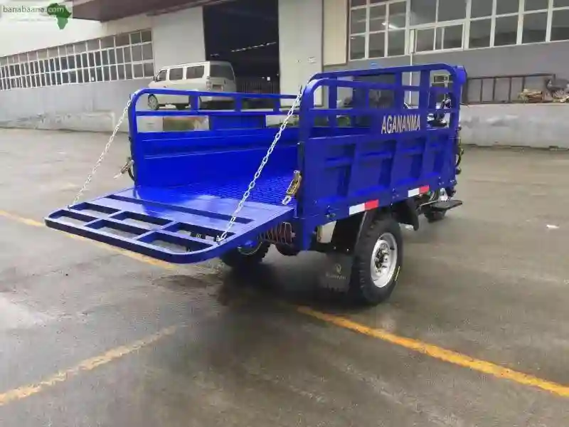 Tricycles DE 200cc & 150cc DE Marque Agan - Vue 2