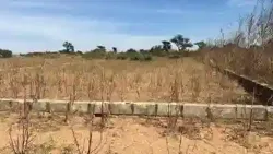 Terrain 300 Mètres Carrés à Vendre à Malicound à Mbour