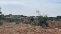 Terrain 700 Mètres Carrés à Vendre à Nguérign à Mbour