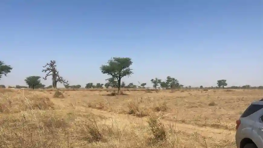 Terrains de 300 Mètres Carrés à Vendre à Malicounda Sénégal - Vue 1