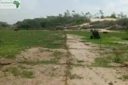 Verger de 133 Hectare Vers Notto Diobass