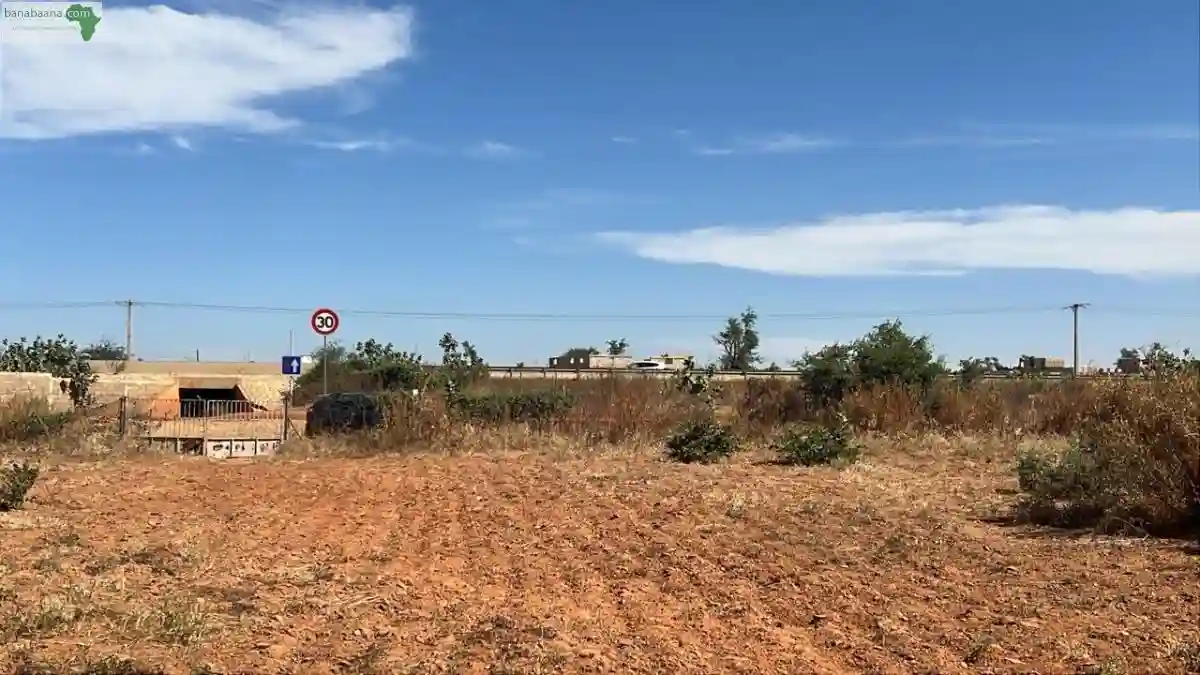 Terrain de 1000 Mètres Carré à Vendre à N - Vue 1