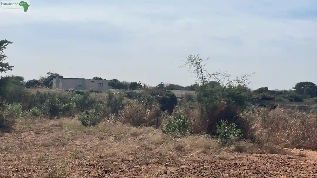 Terrain de 1000 Mètres Carré à Vendre à N - Vue 2