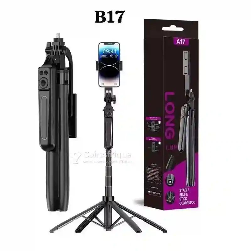 Ring Light B17 - Vue 1