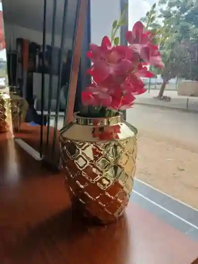 Vases et Pots de Fleurs 26j7 à Dakar - Vue 1