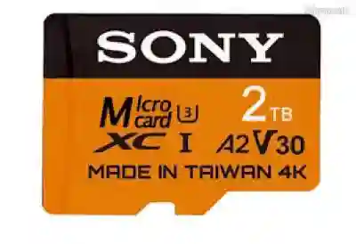 Carte Sony Microsdxc 2TB à Saint Louis - Vue 1