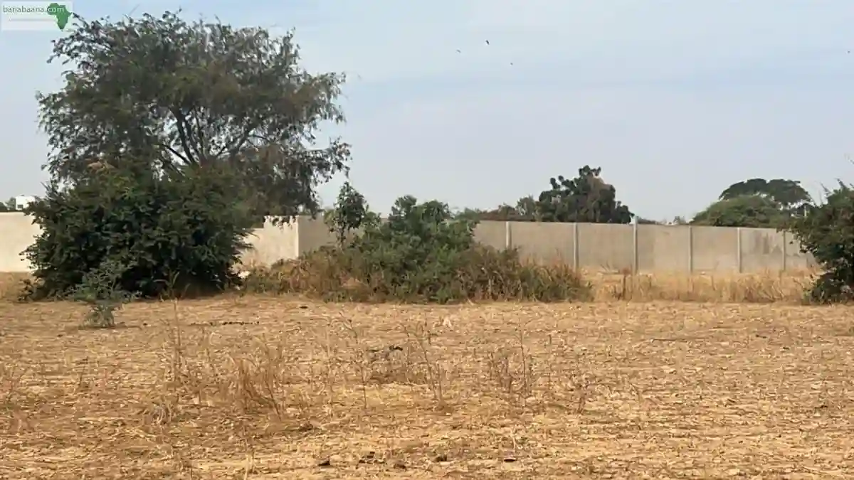 Terrains de 225 Mètres Carrés à Vendre à - Vue 1