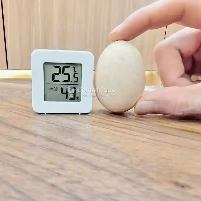 Thermomètre - Vue 1