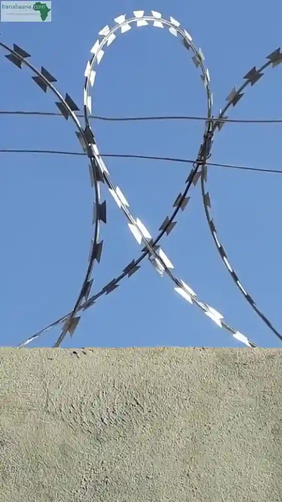 Vente ET Installation DES Rouleaux DE Barbel - Vue 2