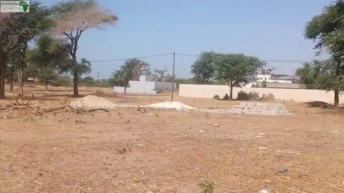 Terrain de 300 Mètres Carrés à Vendre à N - Vue 1