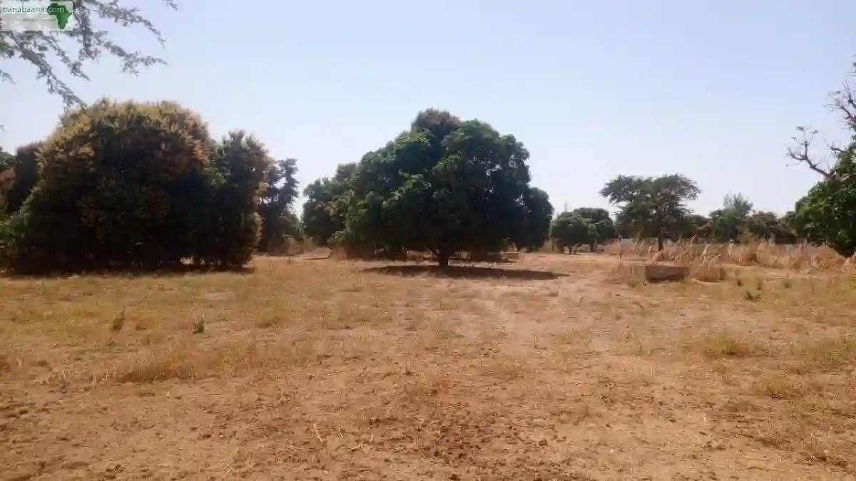 Terrain de 8000 Mètres Carrés à Vendre à - Vue 1