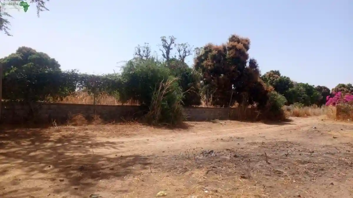 Terrain de 8000 Mètres Carrés à Vendre à - Vue 2