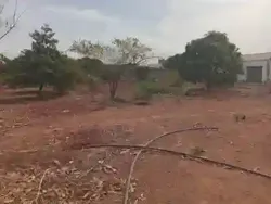 Verger de 140 Hectare Vers Fandéne Thiès à Thies