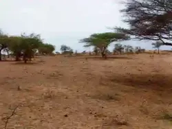Terrain Agricole de 10 Ha Vers Thiéppe Kébé à Kebemer